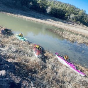 New 'Yaks On The Shore